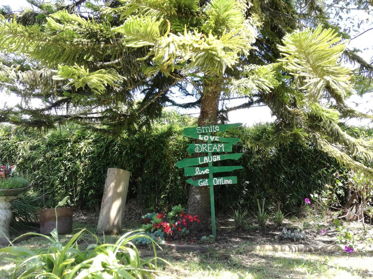 Al Bosque Hostel & Glamping Santa Elena  Exterior photo